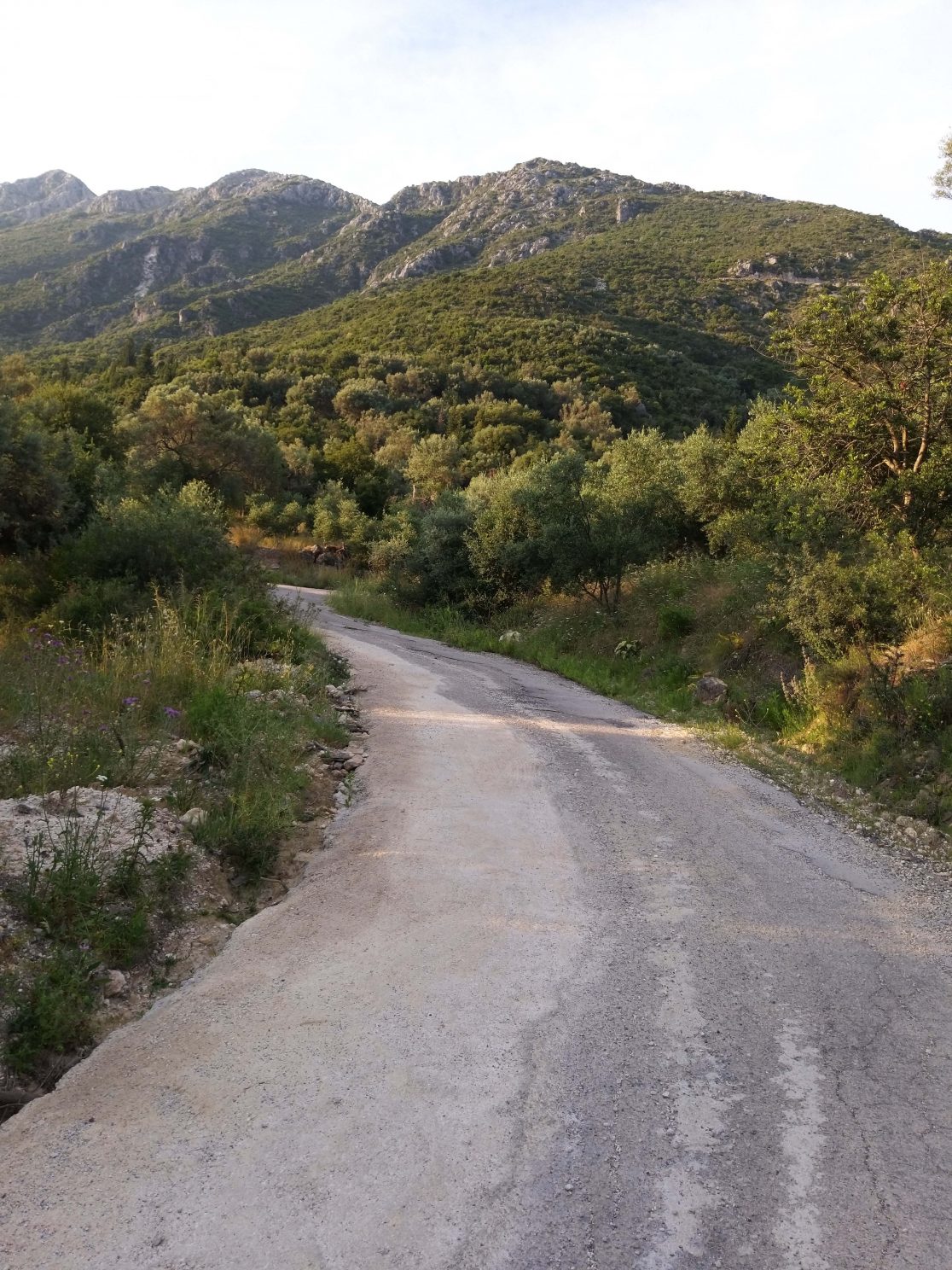 Lefkas Domi Dhmosia Erga 1