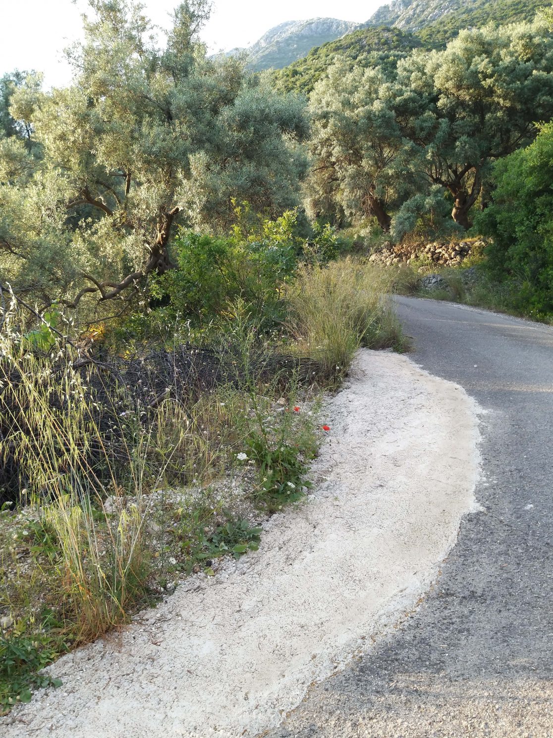 Lefkas Domi Dhmosia Erga 5